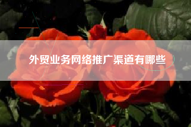 外贸业务网络推广渠道有哪些