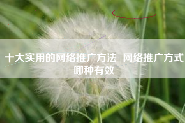十大实用的网络推广方法 网络推广方式哪种有效