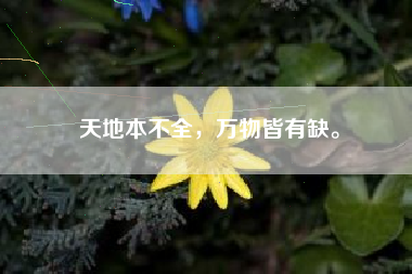 天地本不全,万物皆有缺。