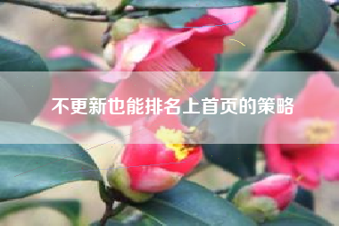 不更新也能排名上首页的策略