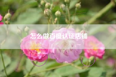 怎么做百度认证店铺