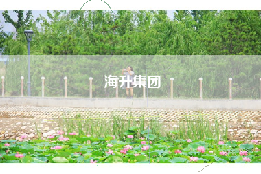 海升集团