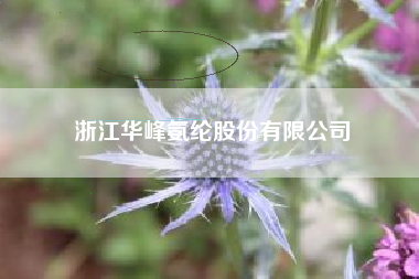 浙江华峰氨纶股份有限公司