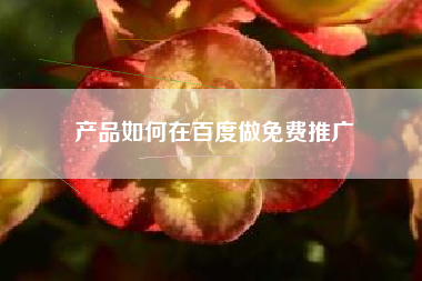 产品如何在百度做免费推广