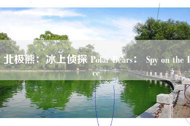 北极熊:冰上侦探 Polar Bears: Spy on the Ice
