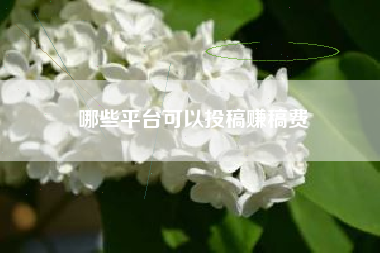 哪些平台可以投稿赚稿费