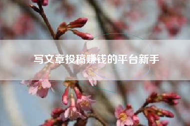 写文章投稿赚钱的平台新手