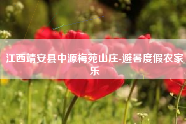 江西靖安县中源梅苑山庄-避暑度假农家乐
