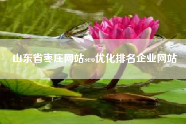 山东省枣庄网站seo优化排名企业网站