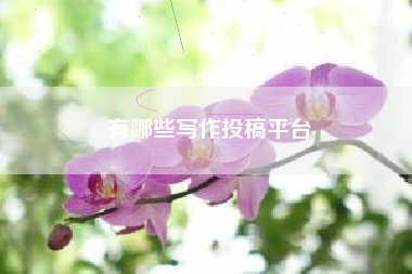 有哪些写作投稿平台