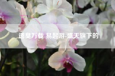 遗臭万载 易起游-盛天旗下的