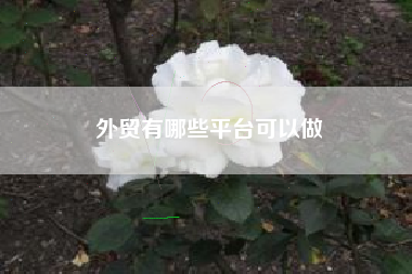 外贸有哪些平台可以做