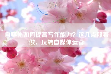 自媒体如何提高写作能力?这几点照着做,玩转自媒体运营