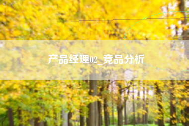 产品经理02_竞品分析