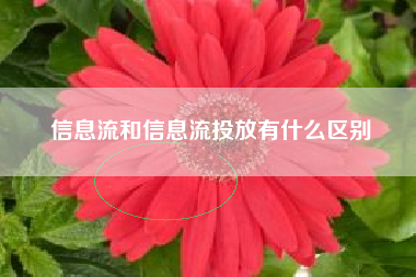 信息流和信息流投放有什么区别