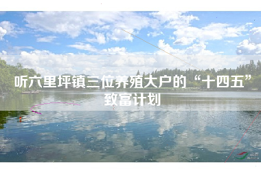 听六里坪镇三位养殖大户的“十四五”致富计划