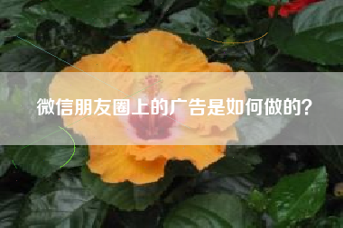 微信朋友圈上的广告是如何做的?