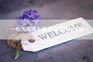 一心为民终不悔 功在桑梓报春晖