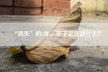 “消失”的3年,李子柒在做什么?