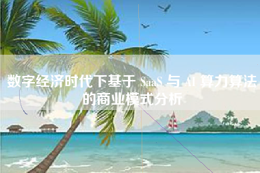 数字经济时代下基于 SaaS 与 AI 算力算法的商业模式分析