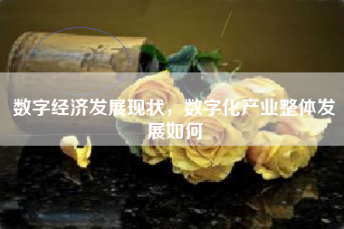 数字经济发展现状,数字化产业整体发展如何