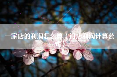 一家店的利润怎么算(门店利润计算公式)