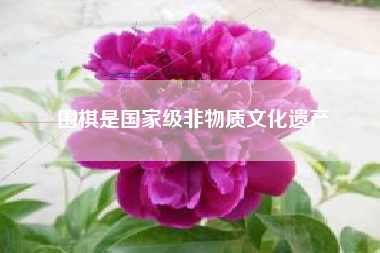 围棋是国家级非物质文化遗产