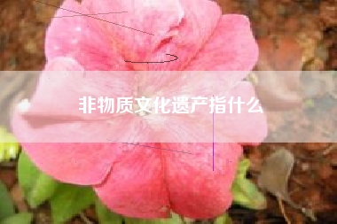 非物质文化遗产指什么