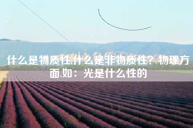 什么是物质性,什么是非物质性?物理方面.如:光是什么性的