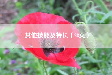 其他技能及特长(28页)