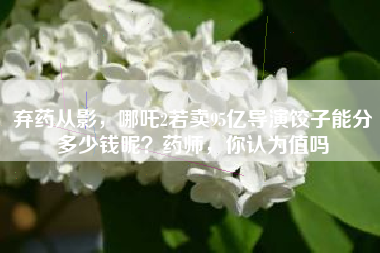 弃药从影,哪吒2若卖95亿导演饺子能分多少钱呢?药师,你认为值吗