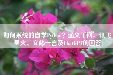 如何系统的自学Python?通义千问、讯飞星火、文心一言及ChatGPT的回答