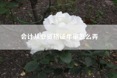 会计从业资格证年审怎么弄