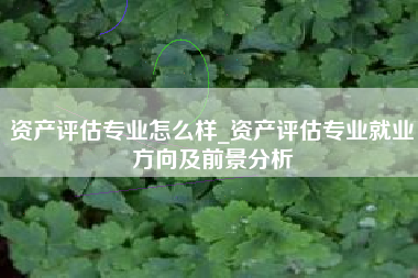 资产评估专业怎么样_资产评估专业就业方向及前景分析