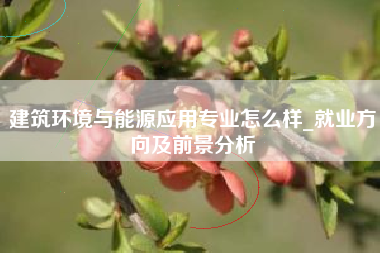 建筑环境与能源应用专业怎么样_就业方向及前景分析
