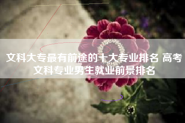文科大专最有前途的十大专业排名 高考文科专业男生就业前景排名